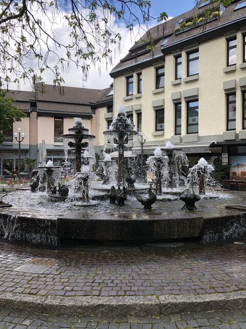 Brunnen in Neustadt!