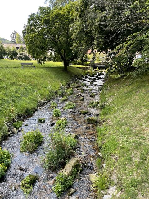 Im Kurpark Bad-Herrenalb 