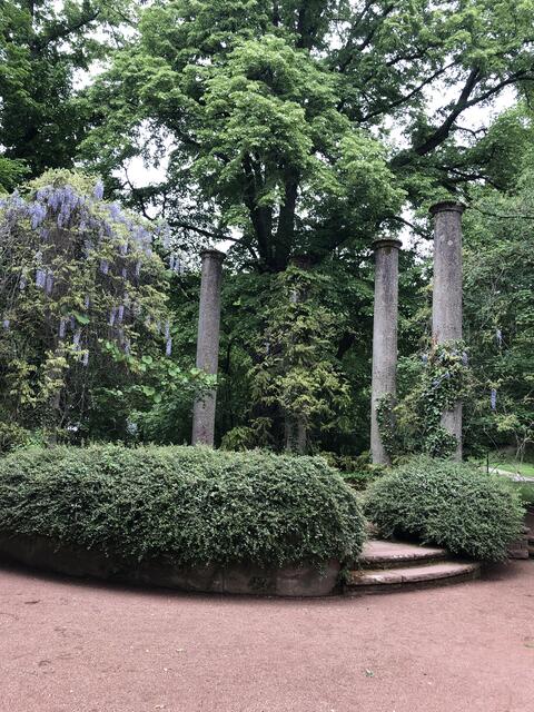 In unserem Volkspark in „Lautere“😍