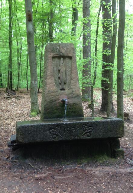 Pfälzer Wald! Heimat❤️