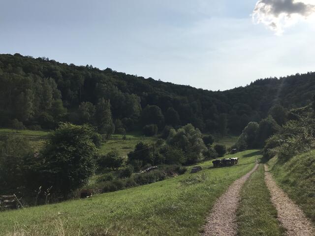 . . . wie im Urlaub | Foto: B. Bender