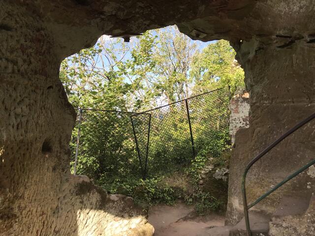 Perfekte Kombination | Foto: B. Bender