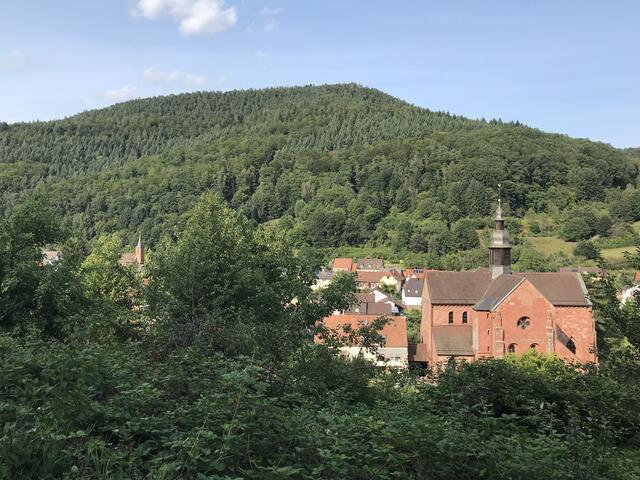 Blick auf die Zisterzienserkirche und die Turmspitze der protestantischen Kirche | Foto: B. Bender