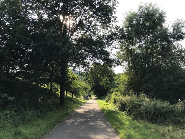 Weg zurück ins Dorf | Foto: B. Bender