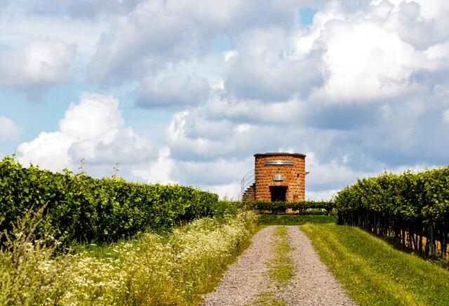 Houschder Winzerturm | Foto: Jason Hann, Selldon Photography 2021