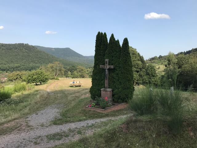 Im Hintergrund einer der Picknickplätze der Südliche Weinstraße | Foto: B. Bender