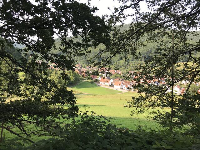 Eußerthal eingerahmt von Ästen | Foto: B. Bender