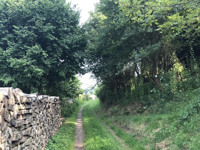 Beginn des Rundweges außerhalb vom Dorf | Foto: B. Bender