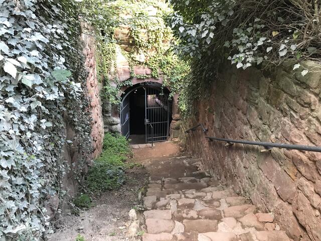 Burg Drachenfels sagt "Auf Wiedersehen" | Foto: B. Bender