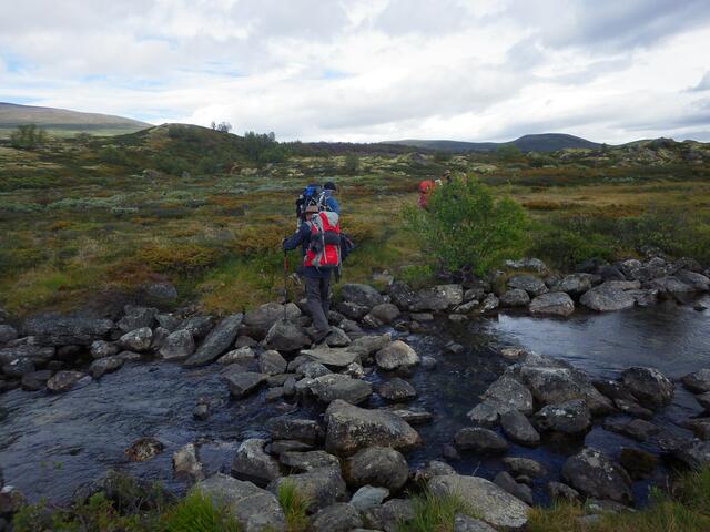 Olavsweg in Norwegen | Foto: Harlald F. Gregorius