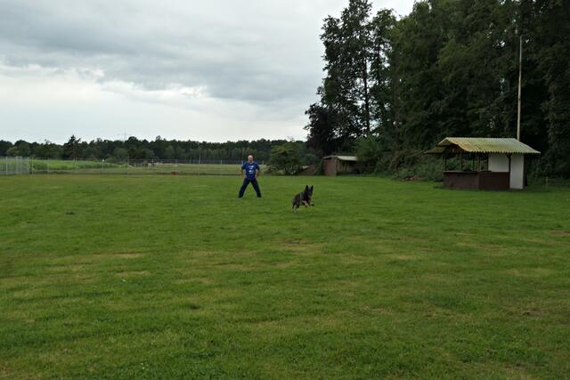 Schneller als der Foto - der Sprint durch die gespreizten Beine | Foto: Brigitte Melder