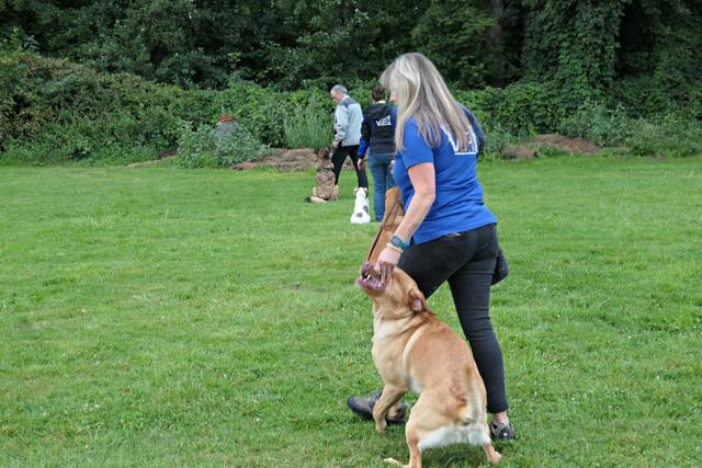 Zwischendurch gibt es mal ein Leckerli | Foto: Brigitte Melder