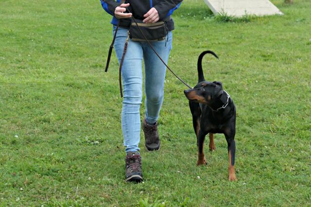 Und immer Blickkontakt und Nähe | Foto: Brigitte Melder