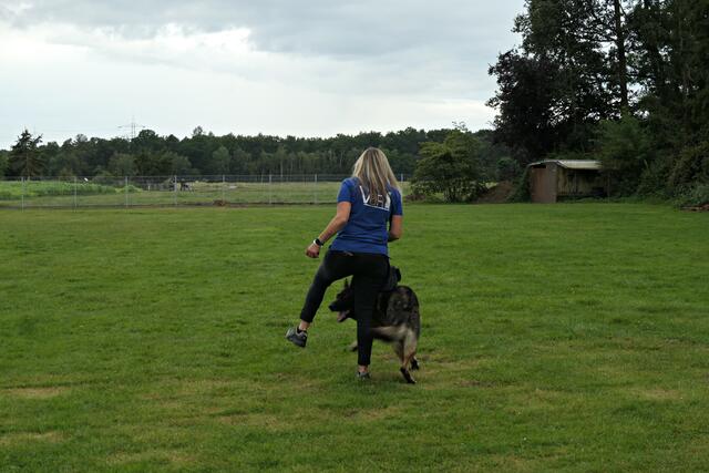 Hier im Slalom durch die Beine von Frauchen | Foto: Brigitte Melder