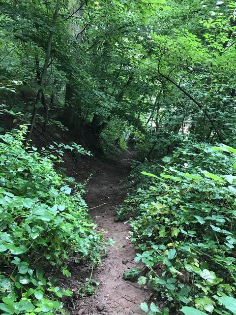 Steiler Abstieg auf vom Regen verwaschenen Wegen | Foto: B. Bender