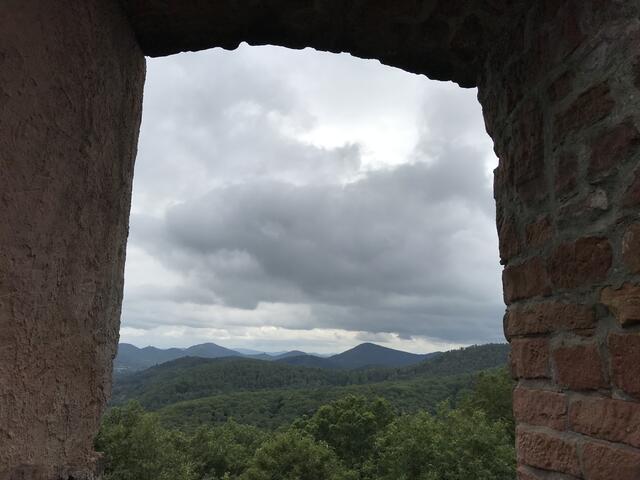 Am Fenster | Foto: B. Bender