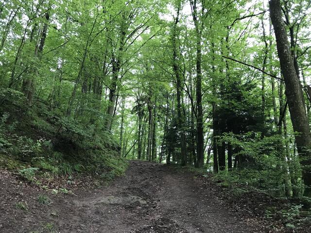 Letzter, sehr kurzer, steiler Anstieg zur Ramburg | Foto: B. Bender