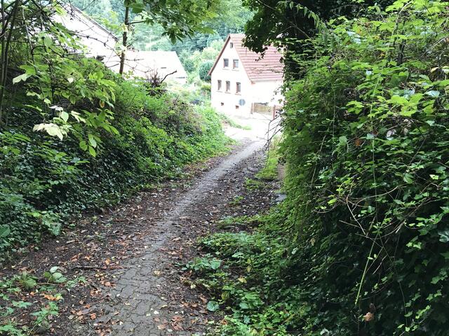 Wieder in der Schlossstraße angekommen | Foto: B. Bender