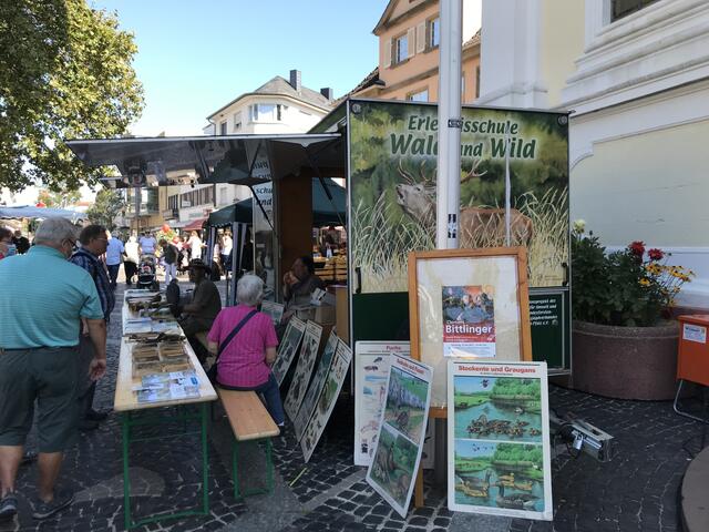 Foto: Gisela Böhmer