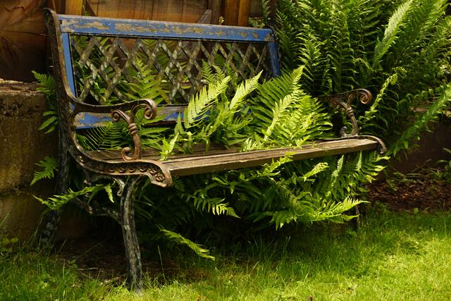 Die gemütliche Bank im Garten. Allein der Anblick wirkt schon beruhigend.