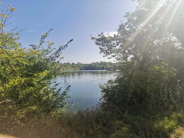 Auf dem Treidlerweg durch die Hördter Rheinauen | Foto: Heike Schwitalla