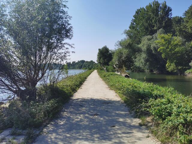 Auf dem Treidlerweg durch die Hördter Rheinauen | Foto: Heike Schwitalla