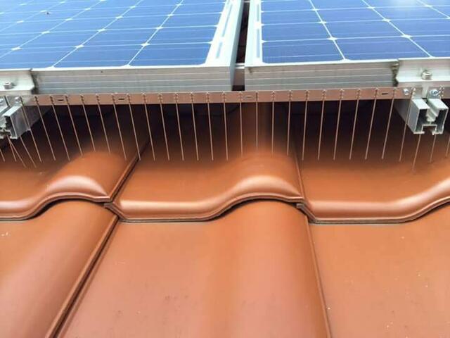 Taubenvergrämung an Solaranlagen