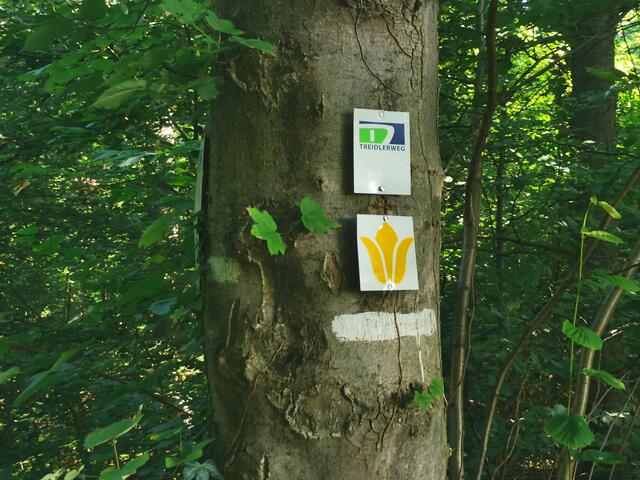 Auf dem Treidlerweg durch die Hördter Rheinauen | Foto: Heike Schwitalla