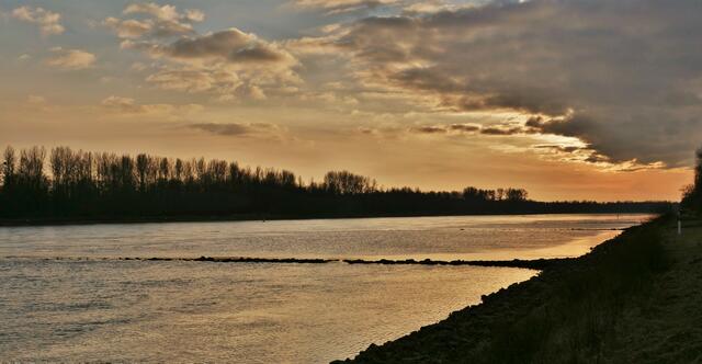Ein Abend am Rhein bei Neuburg im Januar