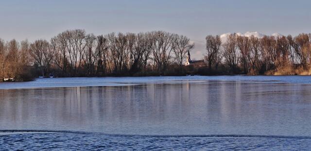 Neupotz, ein Blick vom See im Februar