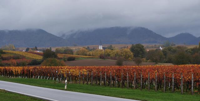 Mörzheim im Herbst im Sptember