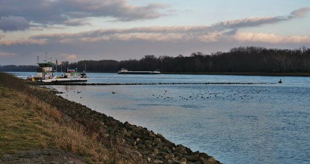 Rheinfähre bei Neuburg im Januar