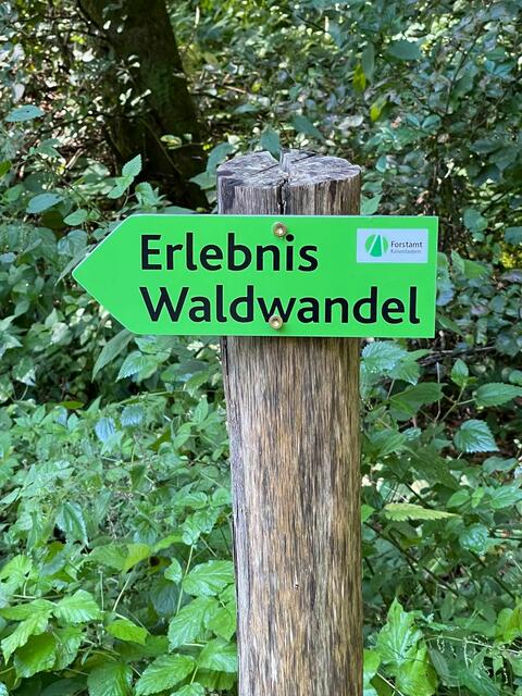 Foto: Forstamt Kaiserslautern