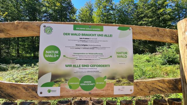 Auf der Plattform gibt es neben Fenstern zu beiden Seiten der der Kahlfläche auch mehrere Hinweistafeln mit wichtigen Erläuterungen für die Waldbesucher | Foto: Ralf Vester
