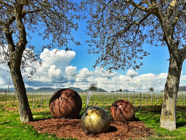 Blick in den Frühling beim Weinerlebnispfad bei Landau/Nußdorf (Mai) | Foto: Anita Lemmert 
