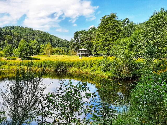 Spätsommer im Spießwoogtal bei Fischbach/Dahn (August) | Foto: Anita Lemmert 
