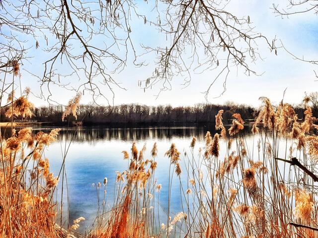 Still ruht der See auch im Februar (Baggersee Römerberg-Mechtersheim) | Foto: Anita Lemmert 
