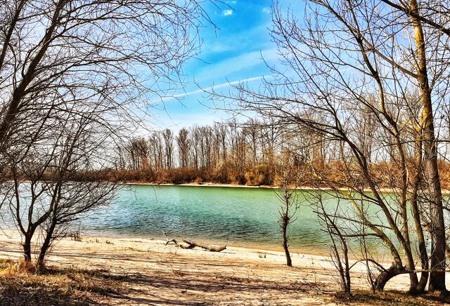 Der März lockt mit Sonne an die Kollerinsel bei Otterstadt  | Foto: Anita Lemmert 