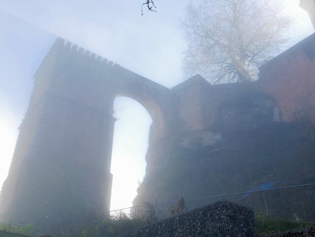 Winter in der Pfalz 2021 - Aufstieg zur Burg Trifels im Nebel