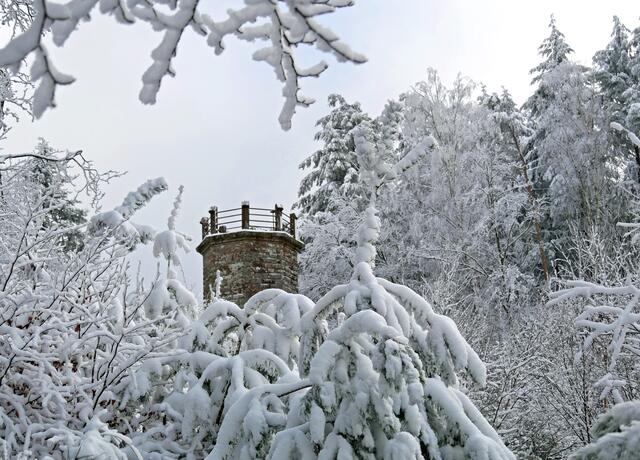 Winter in der Pfalz 2021 - Wanderung zum Schänzelturm bei Neuschnee