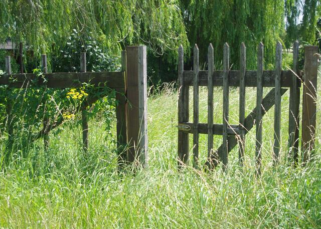 Tor im Feld / Meckenheim - Juli 2021