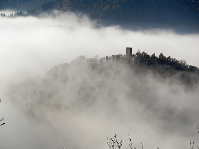 Winter in der Pfalz 2021 - Blick von der Burgruine Meisterseel