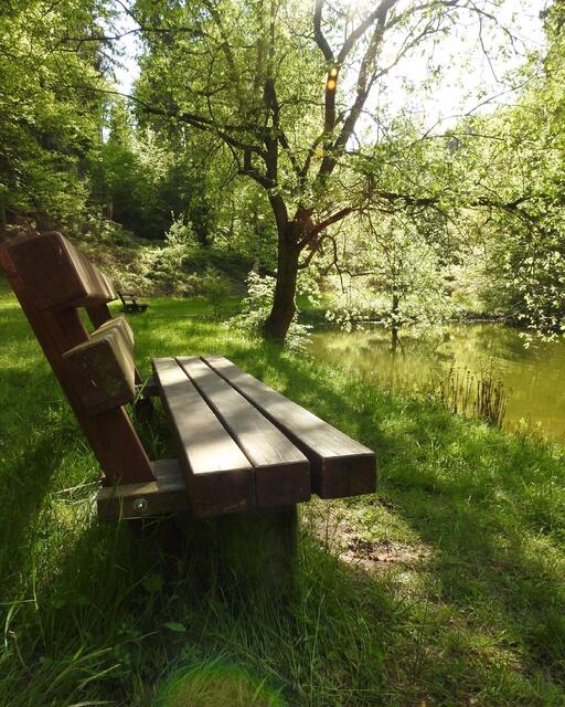 Komm setz Dich und ruh‘ Dich aus. Bank an einem Teich bei Weidenthal im Mai 2021 | Foto: Dagmar Winkler 