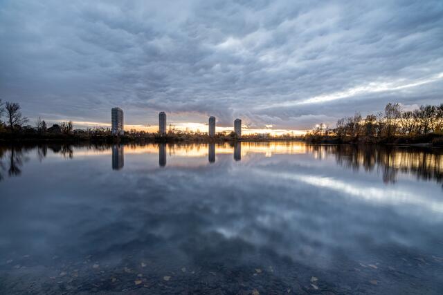 Blaue Stunde am Kratzscher Weiher mit Blick auf die Froschlache Ludwigshafen _ November
Bild: privat/Georg Beck