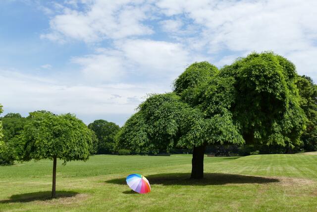 In einem Park bei Worms
(Wochenblatt-Reporter-Kalender 2022)