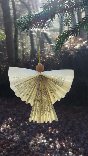 Im Wald bei Dansenberg im Dezember
(Wochenblatt-Reporter-Kalender 2022)