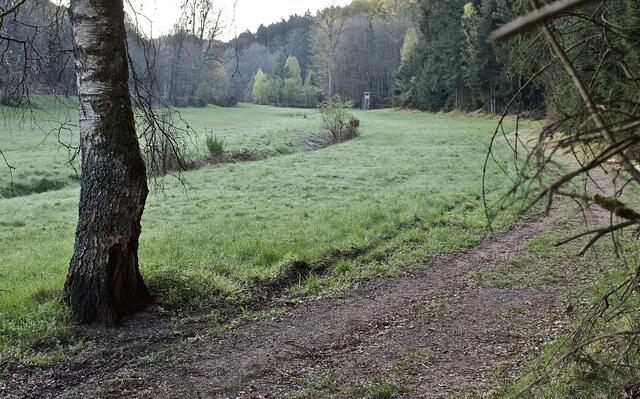 Am Rambach bei Mölschbach