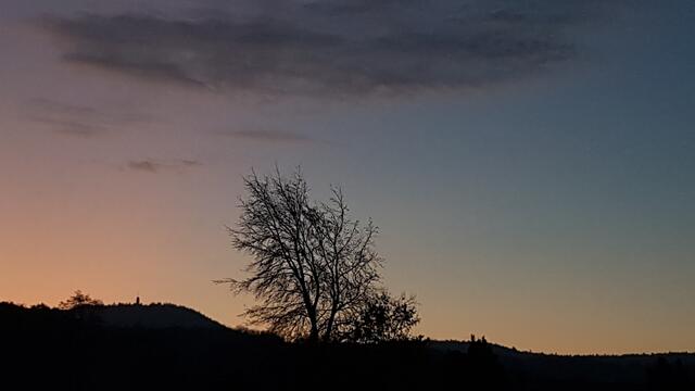in der Ferne der Bismarckturm.... | Foto: Stefanie Eckfelder