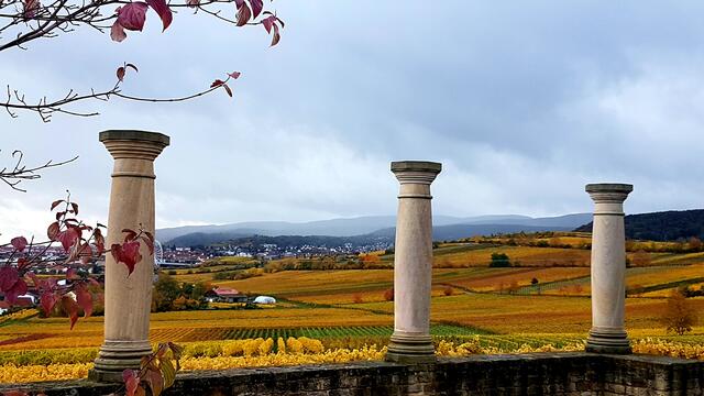 Dort wohnen, wo andere Urlaub machen....
Blick auf Bad Dürkheim | Foto: Stefanie Eckfelder