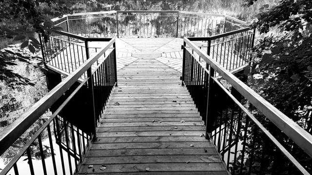 Am " Schlangenweiher " | Foto: Stefanie Eckfelder